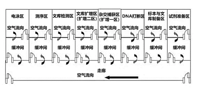 腫瘤NGS診斷實驗室平臺主要區域及流轉示意圖