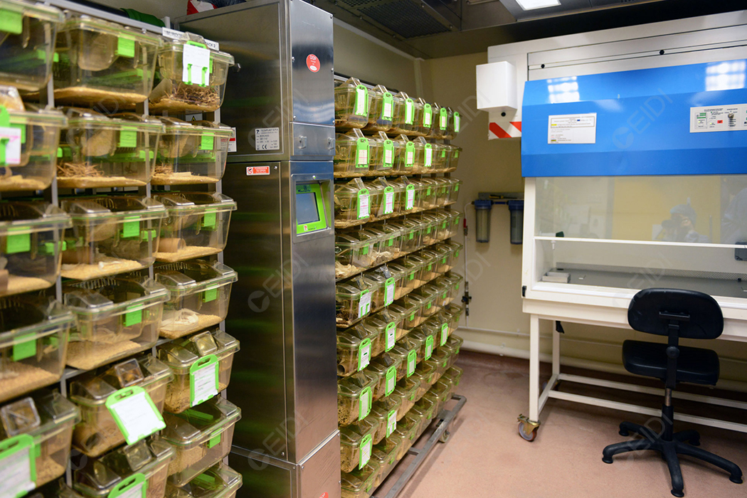 獸醫實驗室建設：畜牧獸醫專業分子生物學實驗室設計及配套系統建設 CEIDI西遞