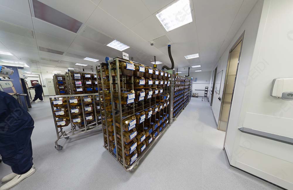 如何建設SPF級屏障系統飼養環境的實驗動物房 