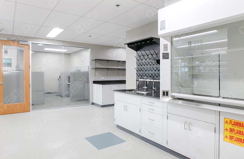 抗真菌蛋白DECTIN-1可用于自身免疫疾病和癌癥治療