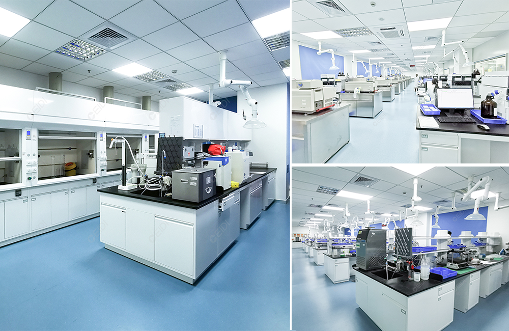 從理論到實踐，藥品檢驗檢測實驗室標準建設方案指南 